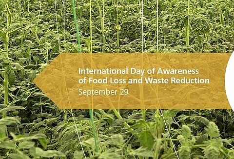 Внимание к проблемам пищевых потерь и отходов