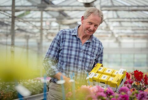 Отличные результаты применения Natupol Seeds