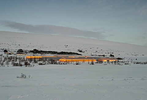 Советы по опылению культур с искусственным освещением