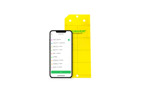 Разведка состояния культур