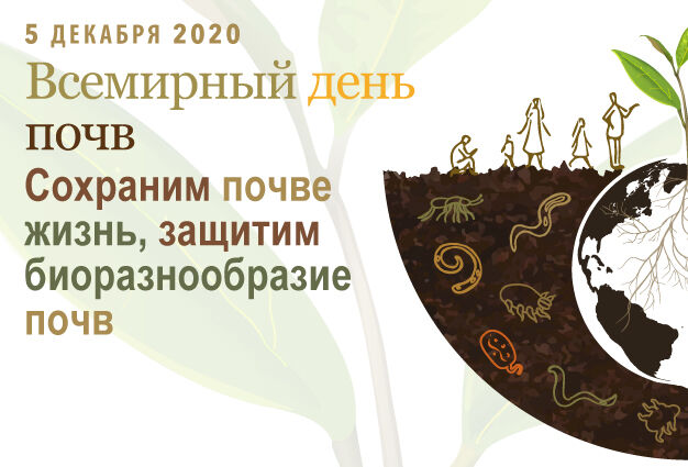 Всемирный день почвы - 5 декабря 2020г