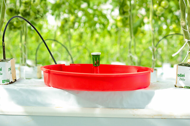 Tutasan Trap