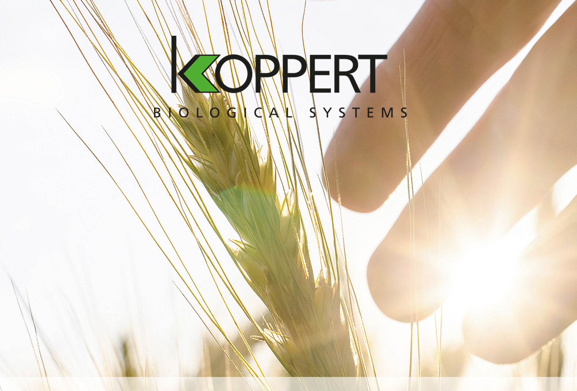 Копперт на международной выставке "ЮГАГРО 2021"