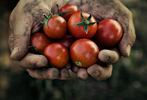 В США производители ставят под сомнение ценность органической сертификации