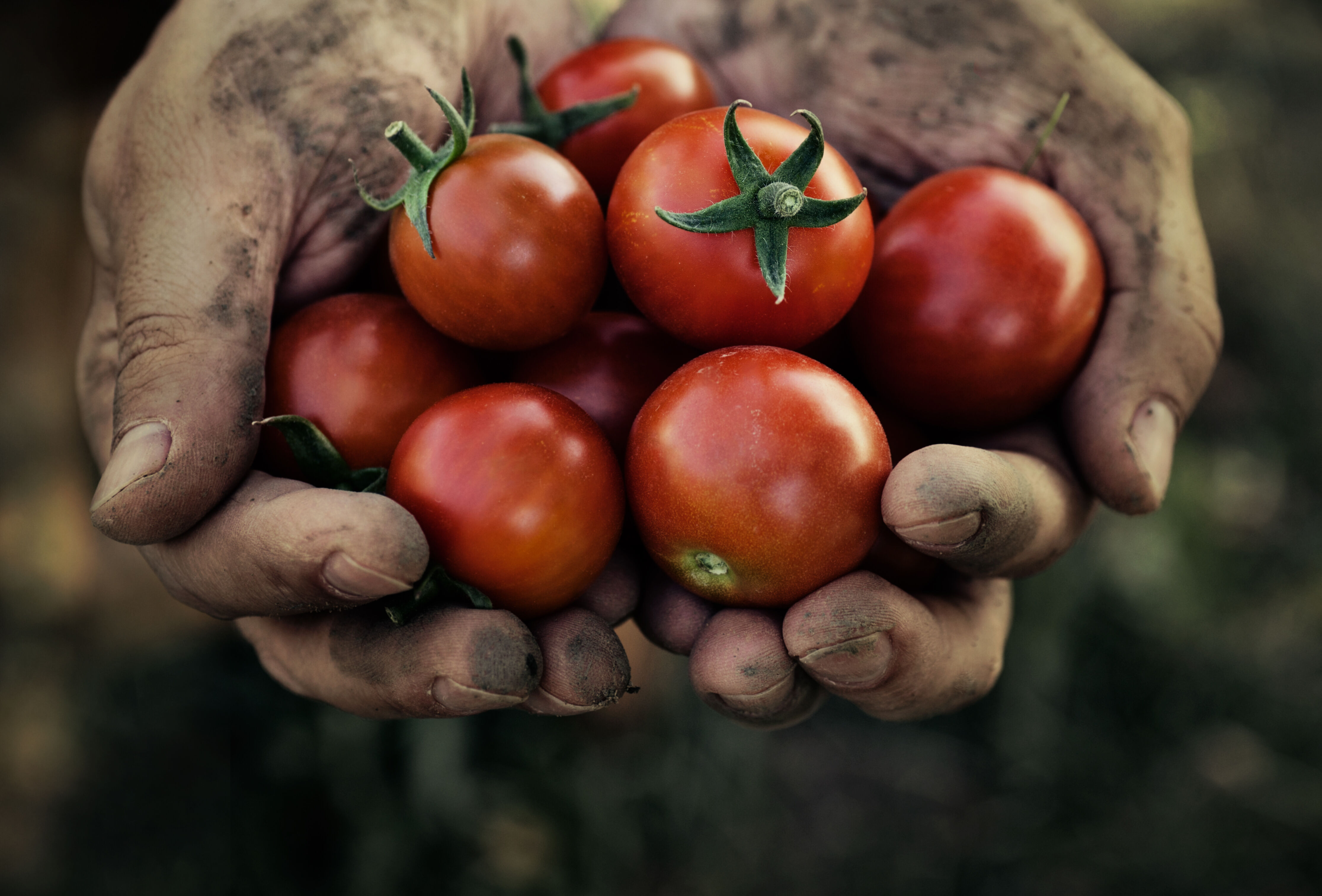 В США производители ставят под сомнение ценность органической сертификации