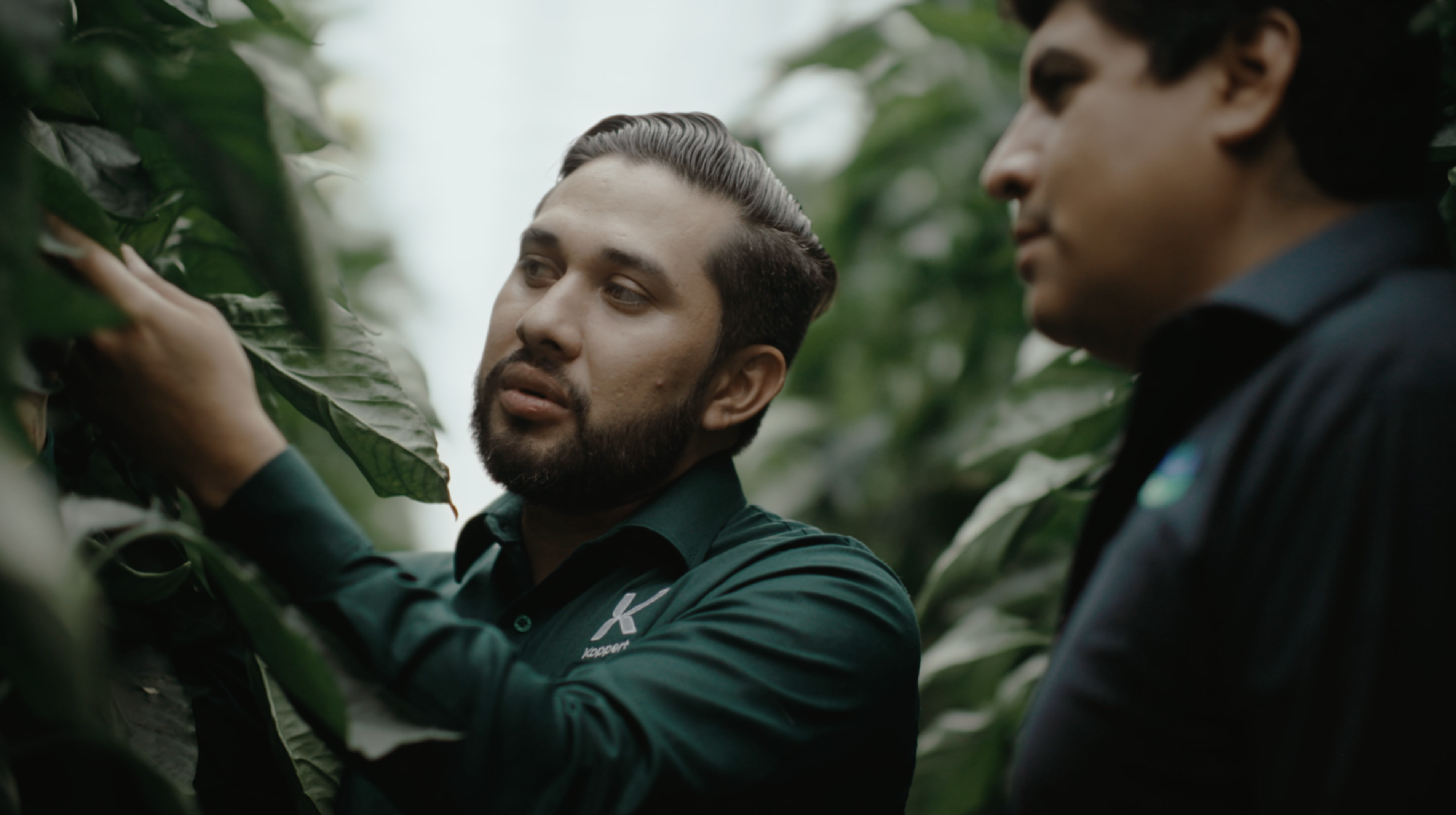 La Hacienda Fresh повышает рентабельность урожая благодаря биологическому контролю